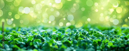 Saint Patrick’s day background. Field of four leaf clovers or shamrocks with soft focus bokeh. St. Paddy's Irish holiday greeting card, invitation, promotion or banner backdrop. 8k Wallpaper .