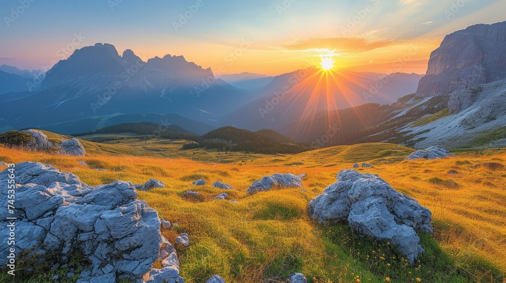 Golden sunset over alpine meadows - obrazy, fototapety, plakaty 