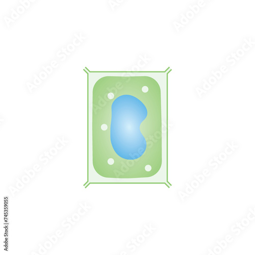 Normal Plant Cell Scientific Design. Vector Illustration.	