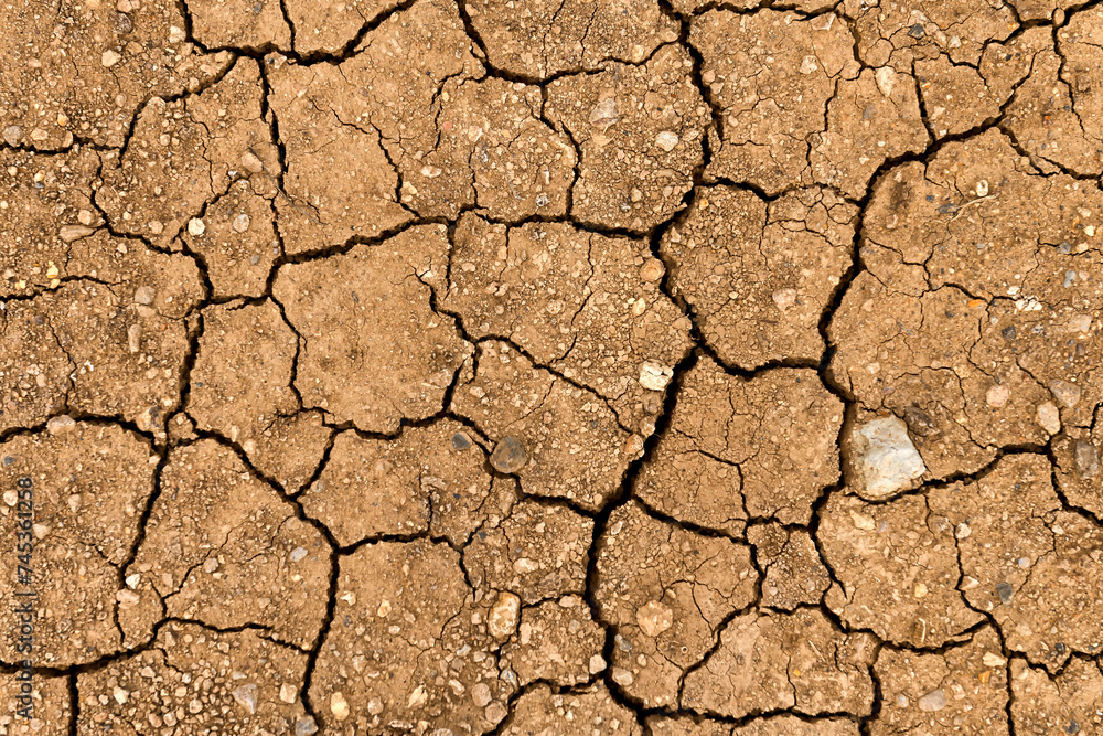 Dry cracked soil Dry cracked soil