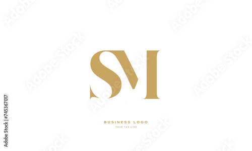 SM, MS, S, M, Abstract Letters Logo Monogram