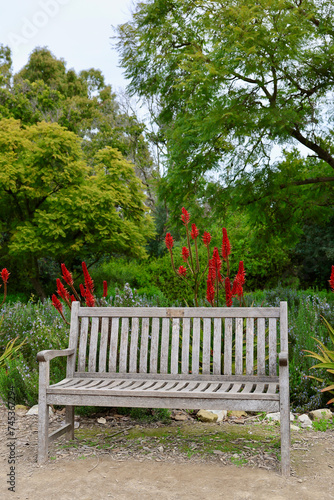 teak park bench along the garden path