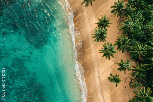 Pristine Beach Paradise From Above - Overhead view of crystal-clear turquoise waters rolling onto an untouched sandy beach surrounded by vibrant tropical foliage  a slice of heaven on earth.