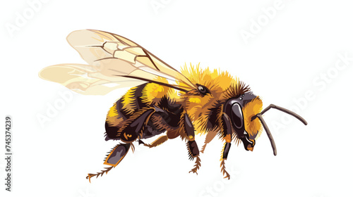 Bee Flying Animal Isolated on White Background Vector © zoni