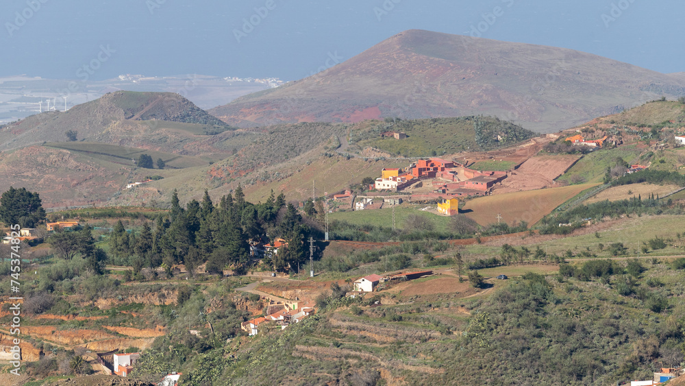 Hills landscape with pine trees in canary islands