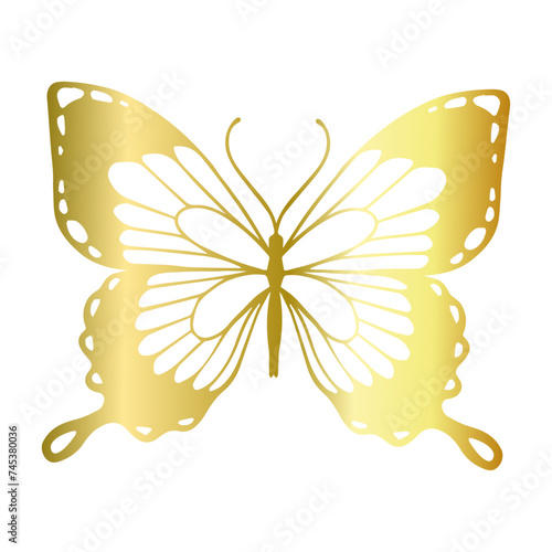 Decorative winged insect of a golden butterfly. Vector graphics.