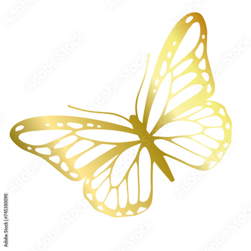 Decorative winged insect of a golden butterfly. Vector graphics.