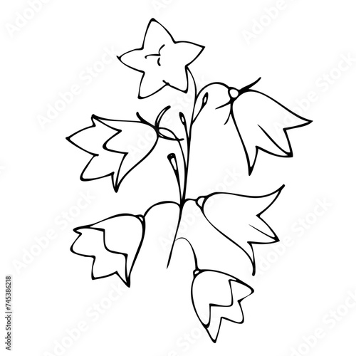 tattoo, sketch, freehand drawing, floristry, bells, contour, one line, vector, leaves, petal, leaves, nature, organic