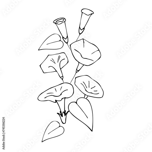 flowers, tattoo, sketch, freehand drawing, floristry, contour, one line, vector, twig, leaves, petal, leaves, nature, organic