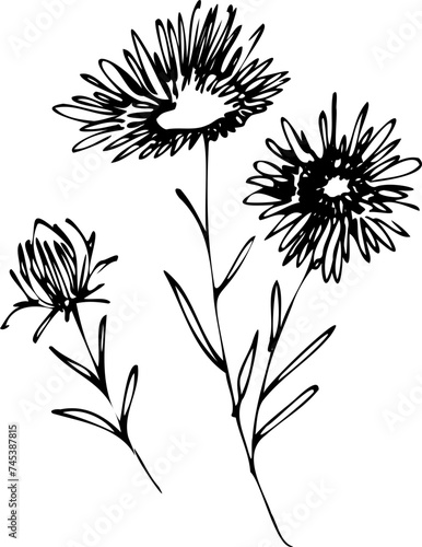 aysters, tattoo, sketch, freehand drawing, floristry, contour, one line, vector, twig, leaves, petal, leaves, nature, organic