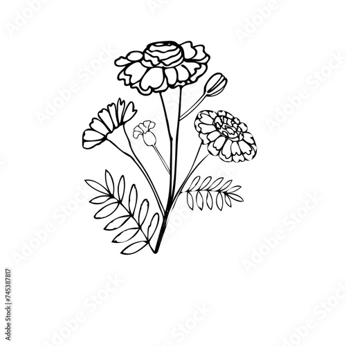 Chernobrivtsy, tattoo, sketch, freehand drawing, floristry, contour, one line, vector, twig, leaves, petal, leaves, nature, organic