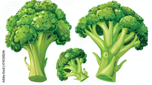 Broccoli Vegetable Fresh Farm Healthy Food Isolated