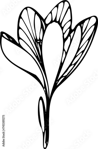 tattoo, sketch, freehand drawing, floristry, flower, vector, leaves, petal, nature,