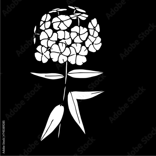 tattoo, sketch, freehand drawing, floristry, flower, vector, leaves, petal, nature,