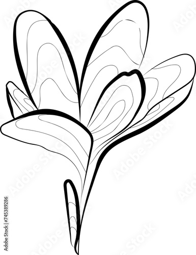 tattoo, sketch, freehand drawing, floristry, flower, vector, leaves, petal, nature,