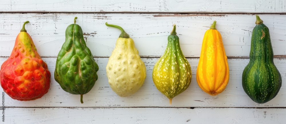 A row of variously colored balsam apple gourds, including balsam pear, bitter cucumber, and gourd melon, is hanging on a white wooden wall. - obrazy, fototapety, plakaty 