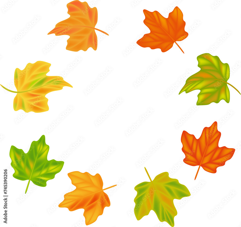 Autumn leaf leaves. Fall leaves maple, oak.Natural colorful illustration on transparent, png. Autumn leaf leaves. Fall leaves maple, oak.Natural colorful illustration on transparent, png.