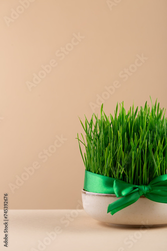 Traditional Novruz semeni wheat glass decorated with ribbon on neutral beige shebeke background and white blooming branch, celebration of spring equinox in Azerbaijan photo