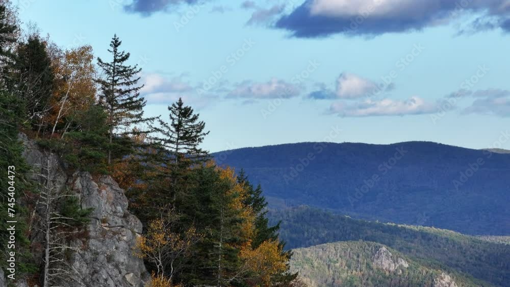 Trees on the edge of a cliff in the mountains Trees on the edge of a cliff in the mountains