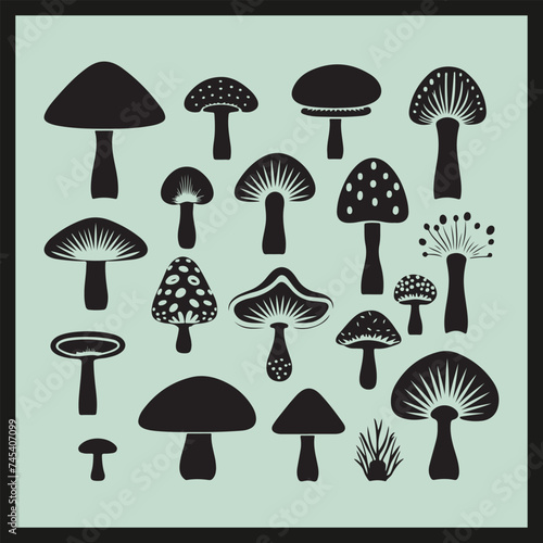 illustration of mushrooms