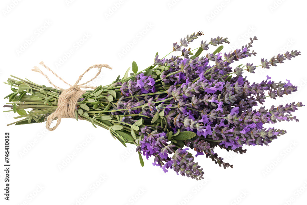 Fototapeta premium Lavender bouquet tied with twine, cut out - stock png.