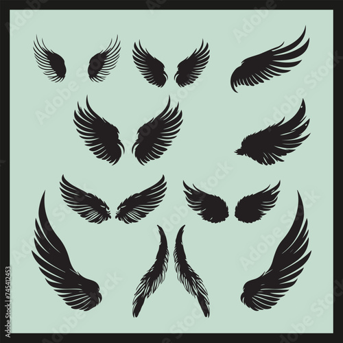 set of wings