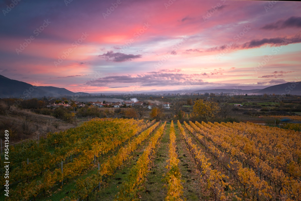 sunset over the field