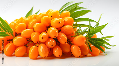 Sea Buckthorn Berry and Leaf on White