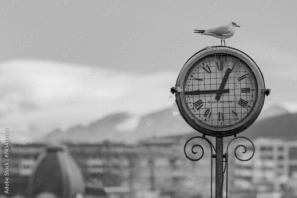 L'horloge genevoise L'horloge genevoise