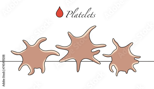 Platelets. Blood. Blood cells. Color vector