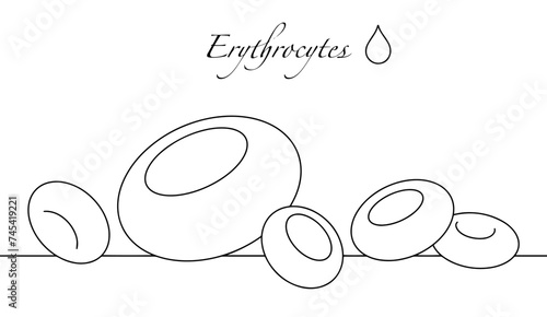 Red blood cells. Erythrocyte. Blood
