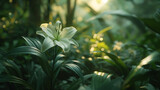 Delicada flor de lírio branca florescendo em um jardim verde exuberante capturada em closeup com luz natural suave