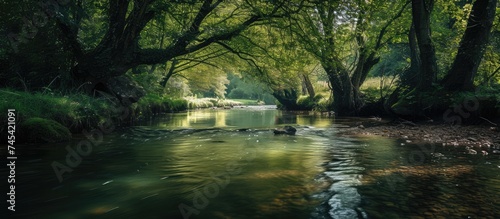 A river flows smoothly through a dense, vibrant forest, surrounded by lush green trees and vegetation. The water glistens under the sunlight as it winds its way through the captivating landscape.