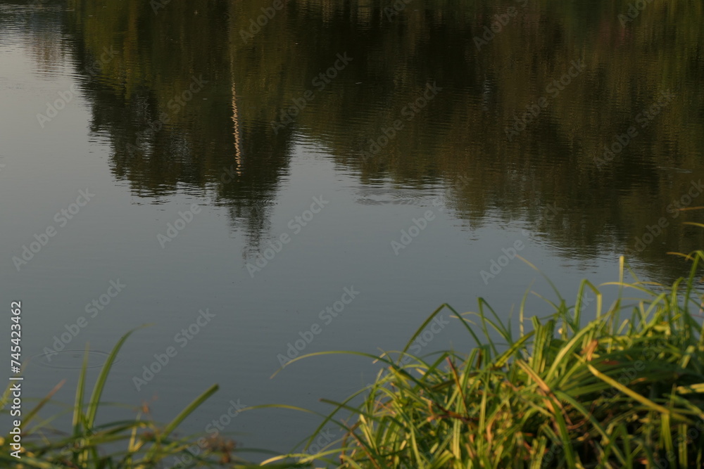 Reflection in the water Reflection in the water