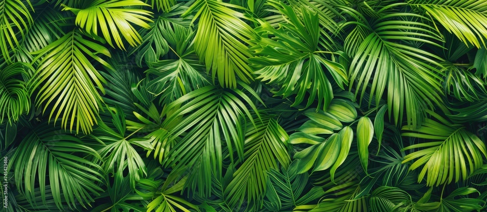 The image showcases a close-up view of vibrant green palm leaves, creating a refreshing and decorative background. The leaves are tightly packed together, displaying their unique textures and shades The image showcases a close-up view of vibrant green palm leaves, creating a refreshing and decorative background. The leaves are tightly packed together, displaying their unique textures and shades