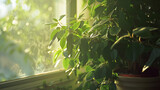 Planta verde exuberante iluminada pela suave luz natural em um parapeito de janela