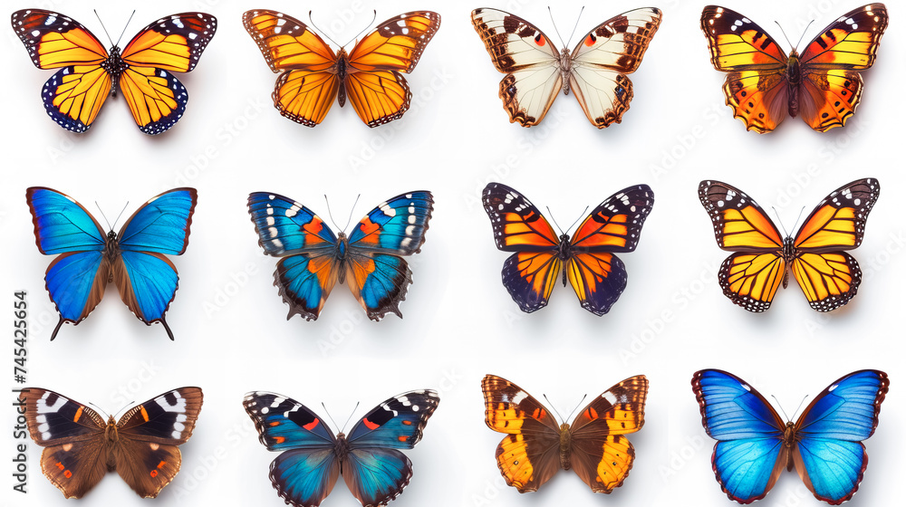 Obraz premium butterfly stickers collection set