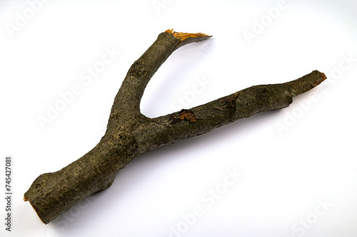 a tree trunk similiar with slingshot with white back ground