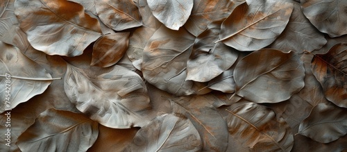 In this close-up view, a wall is densely covered with various leaves in different shades of green and brown. The leaves create a textured pattern against the solid backdrop, adding a touch of nature