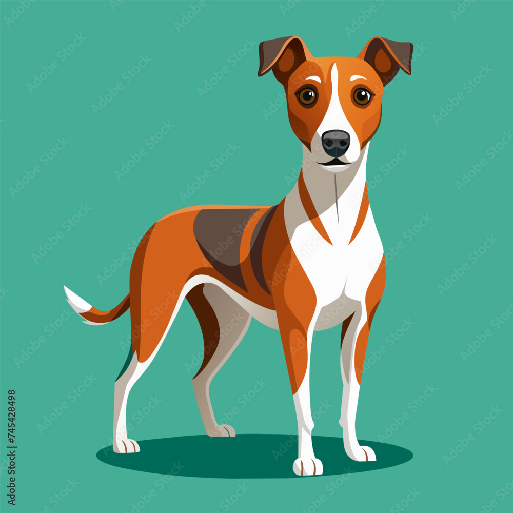 Funny dog isolated on turquoise background. Vector illustration of a beautiful dog. Cartoon pet staff for computer games, educational programs.