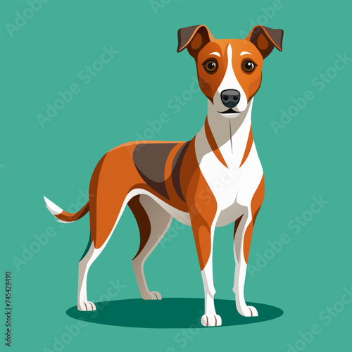 Funny dog isolated on turquoise background. Vector illustration of a beautiful dog. Cartoon pet staff for computer games, educational programs.