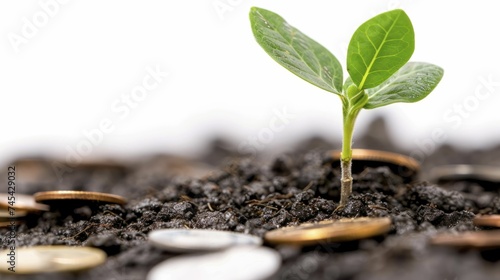 A coin-strewn seedling symbolizes prosperous investments, growth rewards, and hard-earned successes.