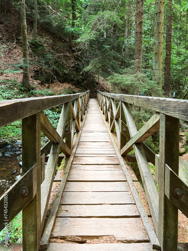 Surface level views of a narrow wooden pathway that runs across a river in the Black Forest in Germany. Lush green trees  mountains and unspoiled nature surround the scene. 