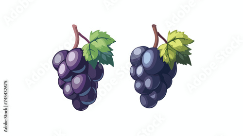 Sweet Fruit Grape Icon Vector Illustration Design Gr