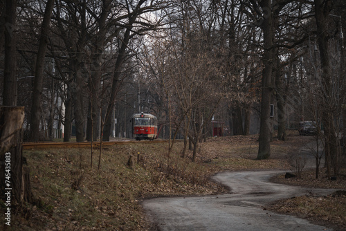Pushcha-Vodytsia, Ukraine. February 22, 2024. The sun is shining in the last days of winter. incredible beauty in the forest. a tram goes from Kyiv to the forest. goes through the city into the forest