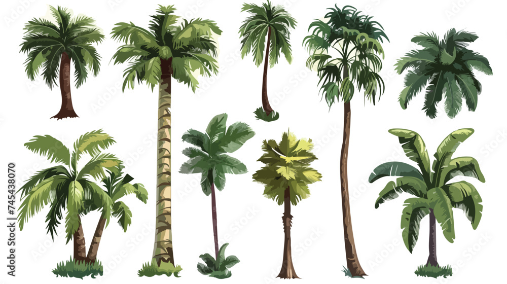 Tree Palms Cartoons Vector Illustration Graphic Desi