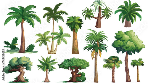 Tree Palms Cartoons Vector Illustration Graphic Desi