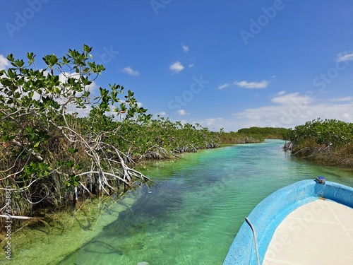 sailing in the mangroves
