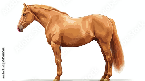 Vector Beautiful Realistic Flaxen Chestnut Horse Isolated photo