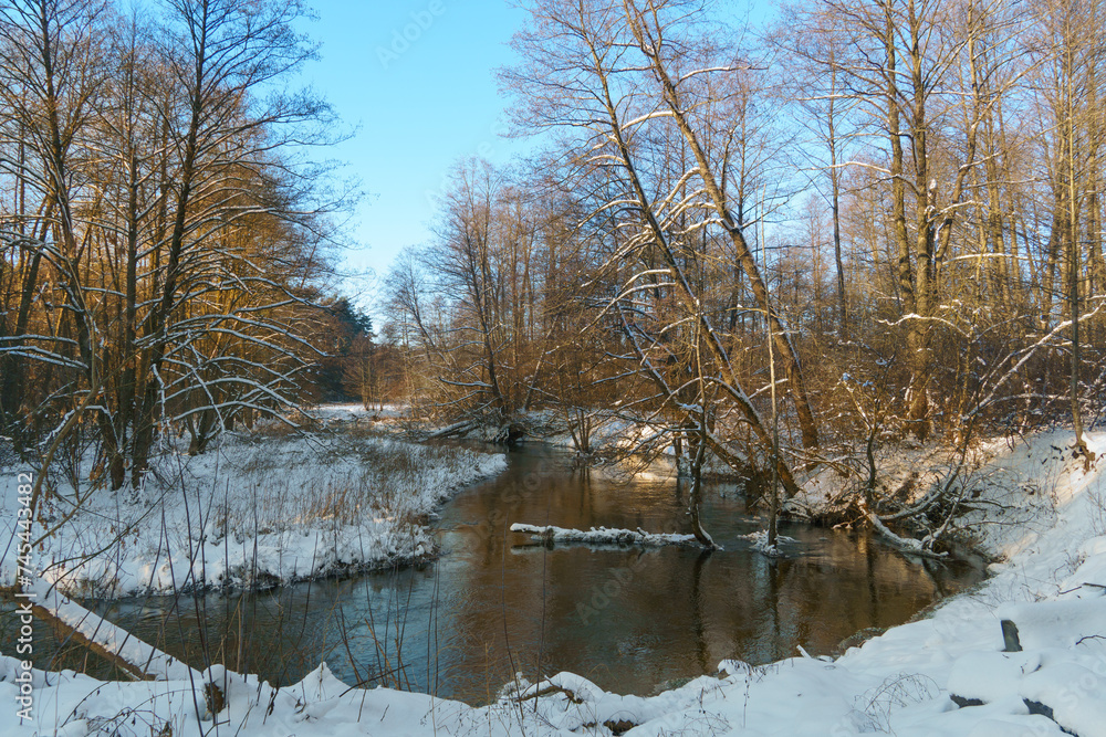 Winter forest landscape. View of the forest covered with snow during sunset. A river in the forest. Winter forest landscape. View of the forest covered with snow during sunset. A river in the forest.